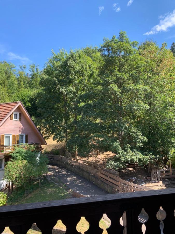 Landhotel Untere Kapfenhardter Muehle Unterreichenbach Esterno foto